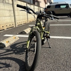 GT STOMPER ACE 20 モスグリーン キッズバイク