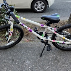 🩷キャワ💚FROG BIKES フロッグバイクス 20インチ キッズバイク🏍️キッズ自転車🚲フロッグ52 股下52cm以上 NO.1301