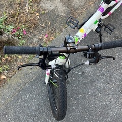 🩷キャワ💚FROG BIKES フロッグバイクス 20インチ キッズバイク🏍️キッズ自転車🚲フロッグ52 股下52cm以上 NO.1301