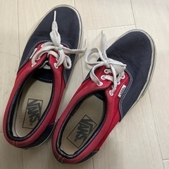 決定　VANS 23.5