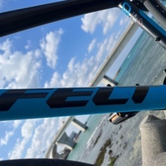 🇺🇸F E L T 超軽アルミフレーム　⚙️24速　ブランド車