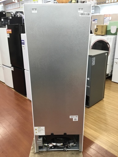 Hisenseの2023年製･2ドア冷蔵庫をご紹介します！トレジャーファクトリーつくば店 Hisenseの2023年製・2ドア冷蔵庫をご紹介します！トレジャー