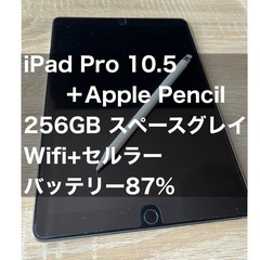 iPad Pro 10.5 & ApplePencil 256G...