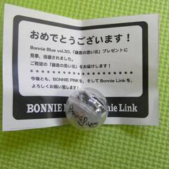 BONNIE PINK ボニーピンク サイン入り　CD DVD 本　ファンクラブ会報　パンプレット　カレンダー
