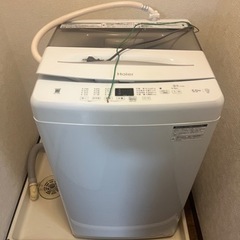 ハイアール洗濯機2023 使用期間3ヶ月