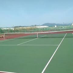 平日硬式テニス練習