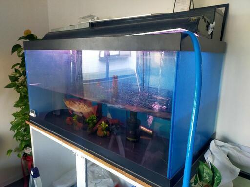値下げ【アクリル水槽】1200水槽フルセット