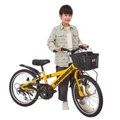 お譲りください⭐︎男の子用自転車20インチの画像