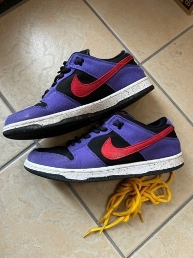 その他 Nike dunk sb ACG 29cm