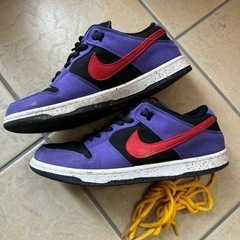 Nike dunk sb ACG 29cm