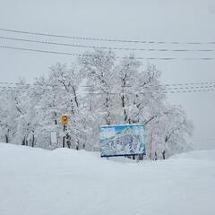 野沢温泉スキー場のチケットを譲って下さる方お願いします。
