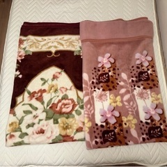 【２枚セットでこのお値段です】毛布　シングルサイズ　ピンク　花柄模様