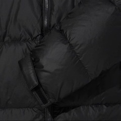 ザノースフェイスダウンジャケット(エコヌプシ)