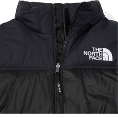 ザノースフェイスダウンジャケット(エコヌプシ)