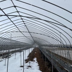 ビニールハウス　内張用アーチパイプ