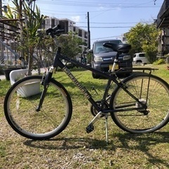 Schwinn 自転車/ 700x38c / 27インチくらい