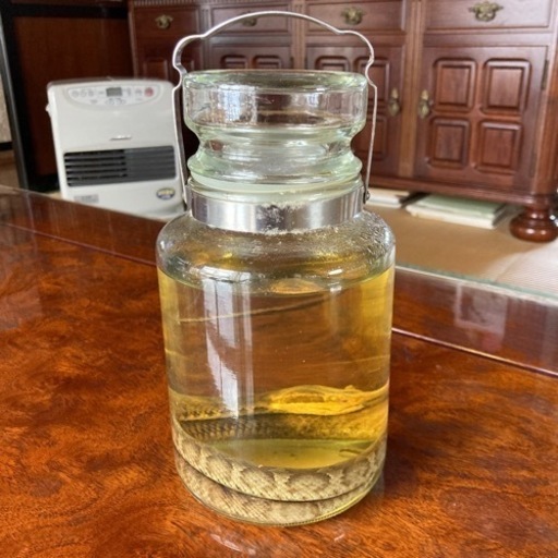 マムシのアルコール漬け　マムシ酒