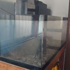 完売ありがとう【♦大型水槽♦画像の全てあげます❗❗】大型ガラス水槽 スイソウ すいそう ◐サイズ１２０✕５０✕５０
