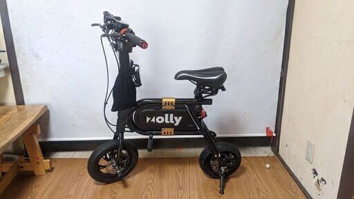 DoubleHunter 改P10 モペット 折り畳電動自転車 公道仕様