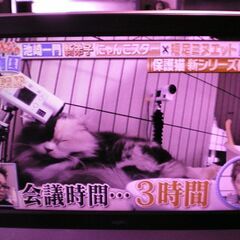 ★　テレビ　SANYO LCD-32SX100　32型