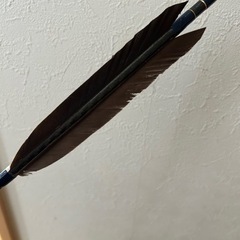 弓道　矢　ミズノ　WENEW カーボン　8020