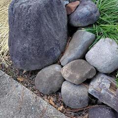 大小さまざまな庭石