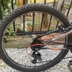 マングースマウンテンバイク