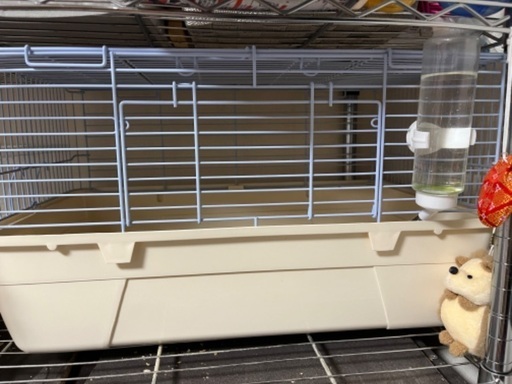 ハリネズミ　セット