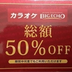 【ネット決済・配送可】飲酒代金も カラオケ・ビッグエコー 50%...