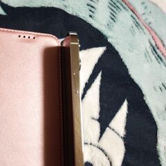 iPhone13pro 256GB シルバー ケース ケーブル付 交渉中