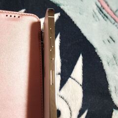 iPhone13pro 256GB シルバー ケース ケーブル付 交渉中