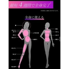 アイスレディ 家庭用脱毛器♡-【値下げしました！】ABAHOUSEモッズコート【黒】