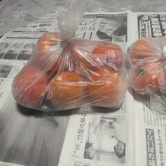 冷凍柿(甘いです）