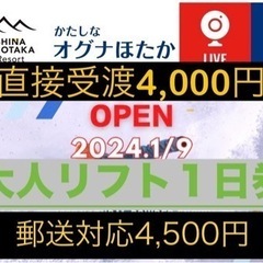 オグナほたかスキー場 リフト券 大人用１日券 保証金込 1枚