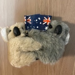 オーストラリア　コアラのお土産4個