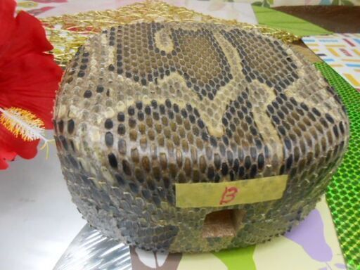 B沖縄三線専用　11.500円　蛇皮強化(二重張)型チーガ　音の入れ替え　自作へ挑戦