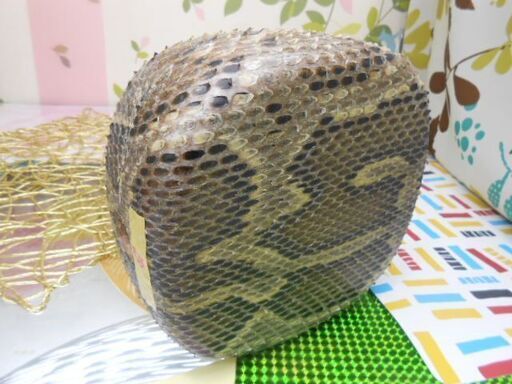 楽天市場】三線 チーガの通販 B沖縄三線専用 11.500円 蛇皮強化(二