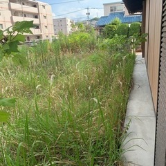 家周りなどの草刈り・伐採作業承ります🌲　 作業、片付け、処分まで...