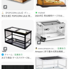 爬虫類ケージ、水槽、用品を譲ってください。