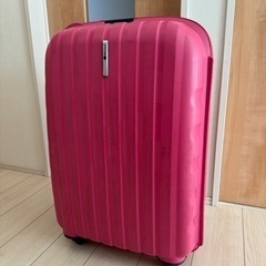 スーツケース(約70リッター)