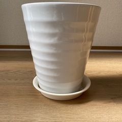 植木鉢　陶器　5号（直径16cm）