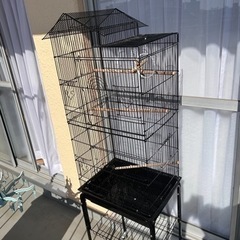 bird cage ケージ