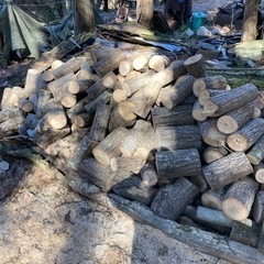 広葉樹　玉切り　ハンノキ　アベマキ　カシ　薪作りに　割り木
