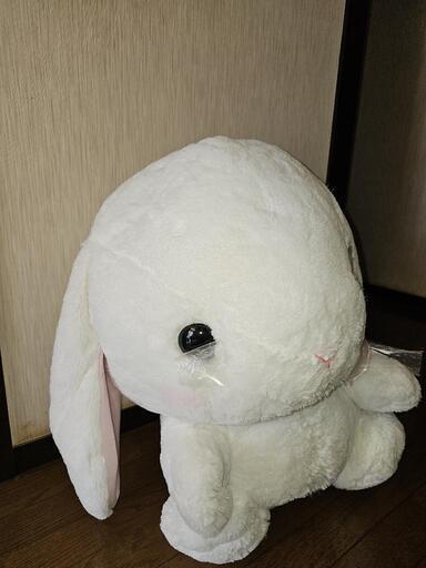 巨大 うさぎ