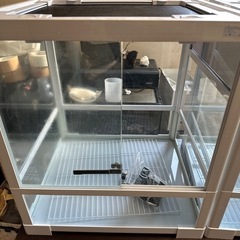 爬虫類ケージ2個即育成セット限定土日プレゼント