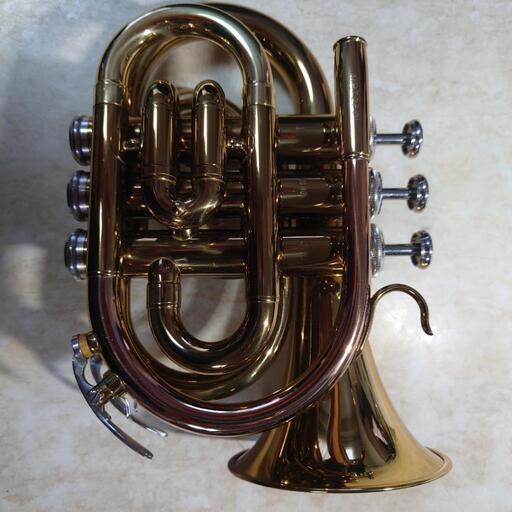 Minerva B♭ポケットトランペット 4点セット】MINERVA MPT250Sポケット