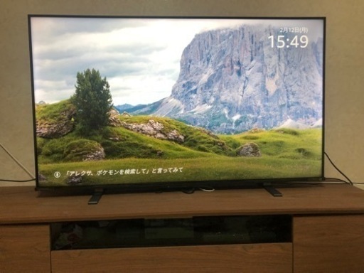 REGZA液晶テレビ50型