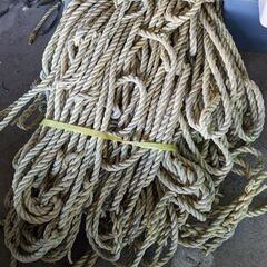 😺長いロープ