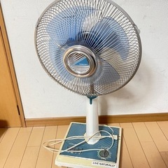 昭和レトロ 1984年 TOSHIBA 扇風機 