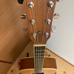 Taylor DN4 テイラー ドレッドノート